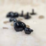 Saugios nosytės žaislams