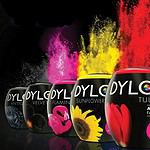 Dylon dažai tekstilei (skalbimo mašinai)